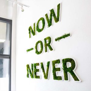 Non Illuminated Moss Letters