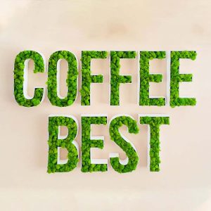 Lighted Moss Letters