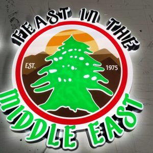 Logo LED Frontlit & Backlit Letters