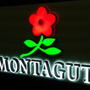 Logo & Text LED Mini Acrylic Letters