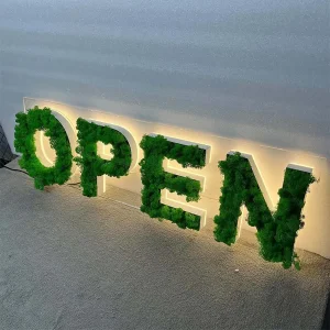 Moss Backlit Letters