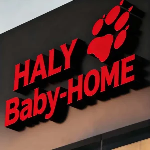 Stainless Steel Trimless Acrylic Letters