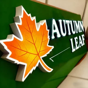 UV Printed Trimless Acrylic Letters